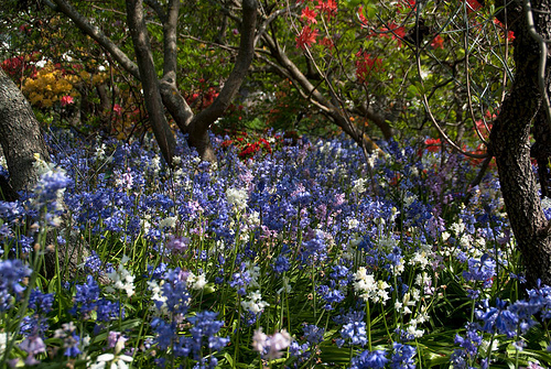 ../_images/0ed8c9f6d4c0af54954b239b616ffdb4bf4a120e9c0e408a19d6f80793c134dc.png