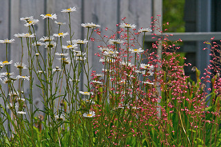 ../_images/d6d6be7dff2ca3c49700d05192742aba389ac96d0eaffc9922a9d4fa34f40a84.png
